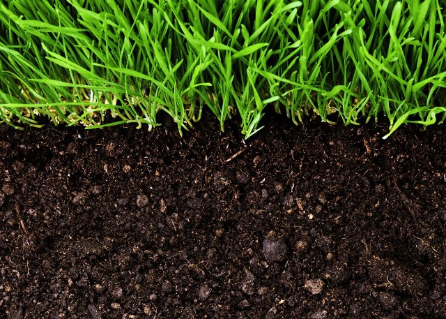 agroexpert.md