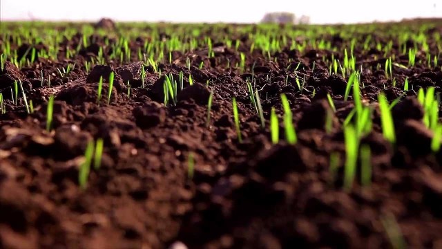 agrotek.com